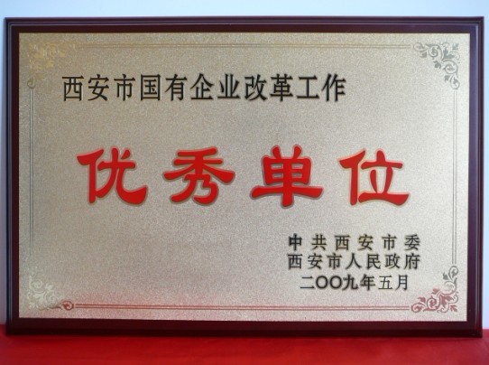 2009年5月，被西安市委、市政府評(píng)為西安市國(guó)企業(yè)改革工作優(yōu)秀單位