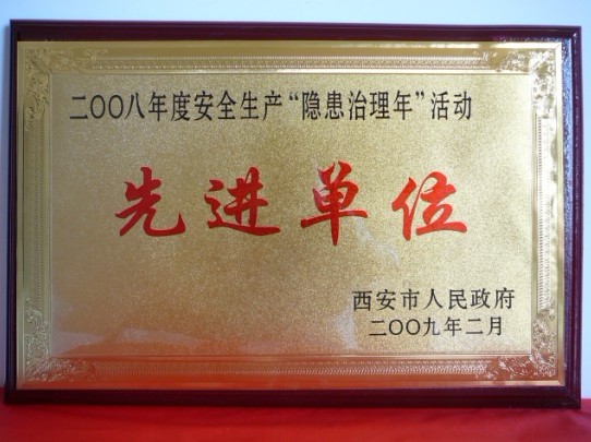 2009年2月，被西安市人民政府評(píng)為2008年度安全生產(chǎn)“隱患治理年”活動(dòng)先進(jìn)單位
