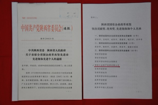 2009年2月，被陜西省委、省政府授予陜西省國(guó)有企業(yè)改革攻堅(jiān)先進(jìn)集體